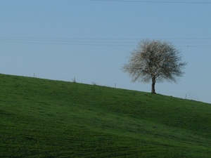  P1040902 