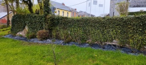  Plantations 