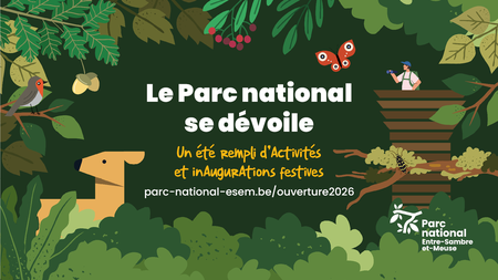 Illustration de l'actualité - cliquer pour agrandir