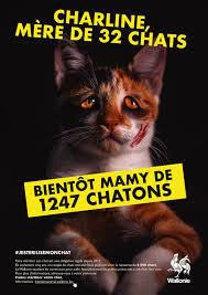 Illustration de l'actualité - cliquer pour agrandir