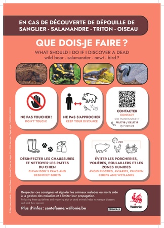 Illustration de l'actualité - cliquer pour agrandir