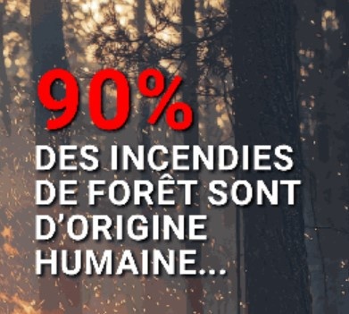 Illustration de l'actualité - cliquer pour agrandir