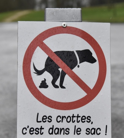 Illustration de l'actualité - cliquer pour agrandir