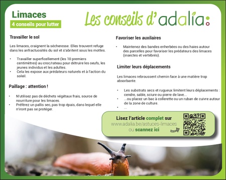 Illustration de l'actualité - cliquer pour agrandir